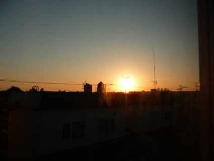P1090793(1).JPG