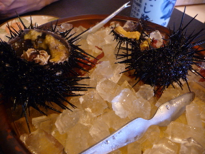 P1120039(1).JPG