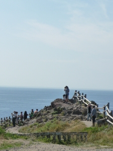 P1120106(1).JPG