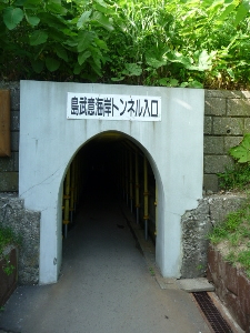 P1120177(1).JPG