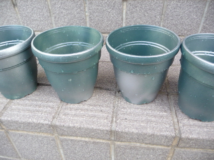 P1120193(1).JPG
