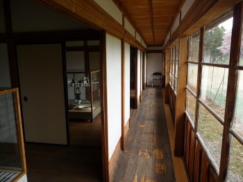 P1130856(1).JPG
