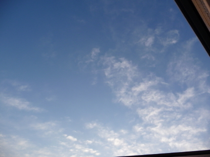 P1150617(1).JPG
