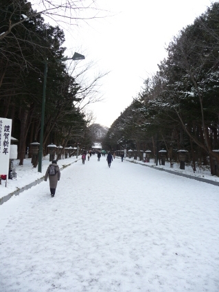 P1160311(1).JPG
