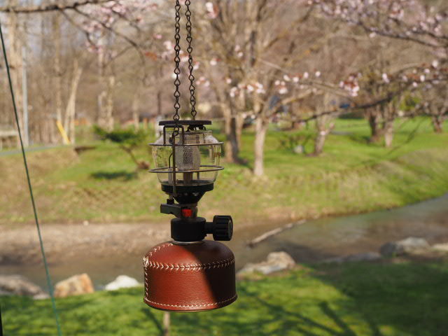 P5084927.JPG