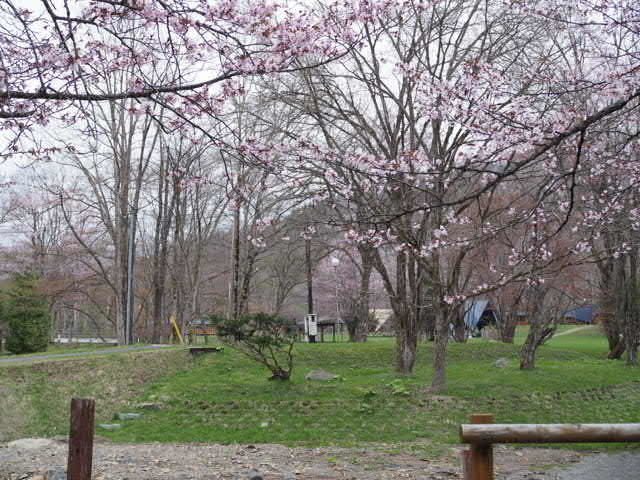 P5091339.JPG