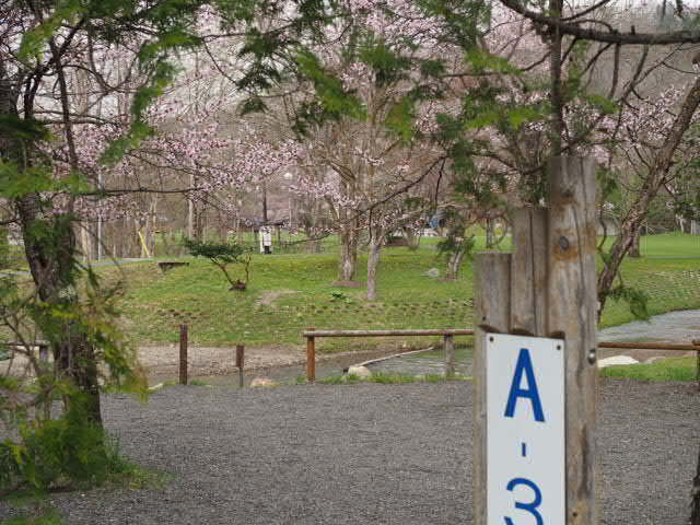 P5095129.JPG
