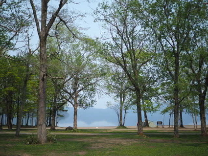 P5201970(1).JPG