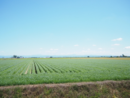 P7090429(1).JPG