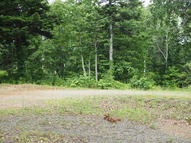 P7194833.JPG