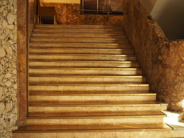 P9175722.JPG