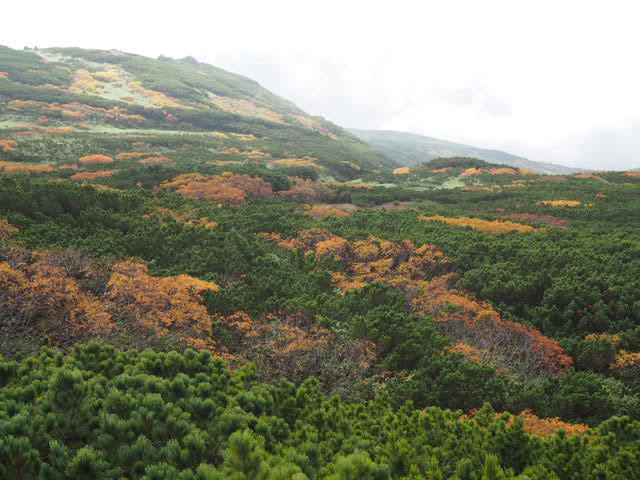 P9247941.JPG