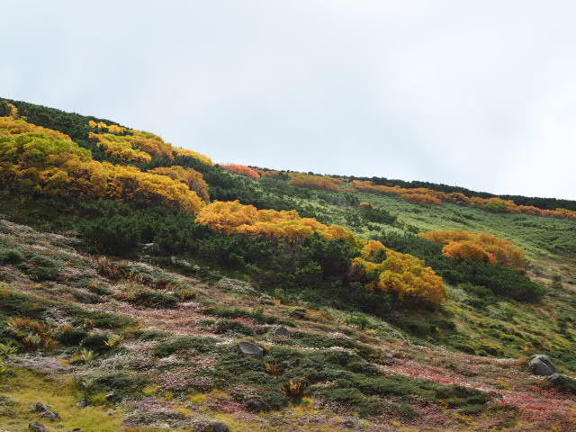 P9248016.JPG