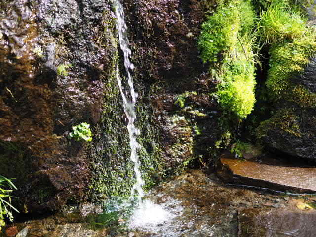 P9263325.JPG