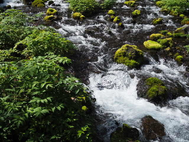 P9263334.JPG