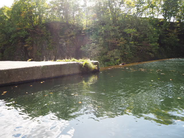 PA072877.JPG