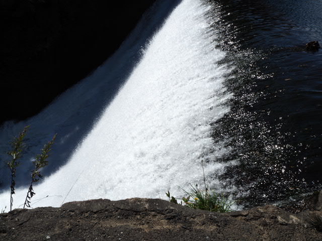 PA072879.JPG