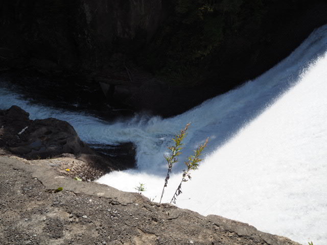 PA072880.JPG