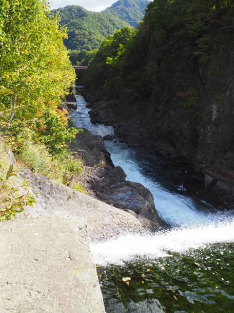 PA072888.JPG