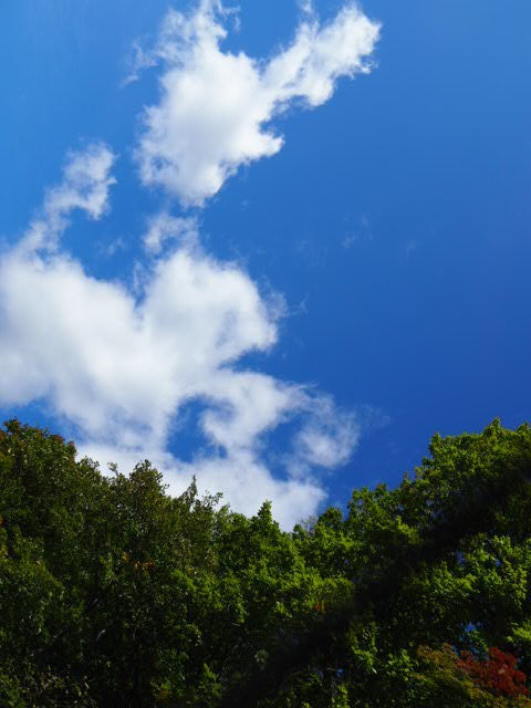 PA072896.JPG