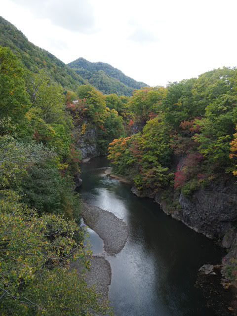 PA132952.JPG