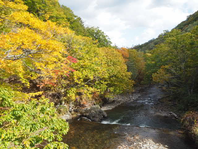 PA132980.JPG