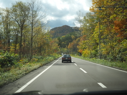 PA150885(1).JPG
