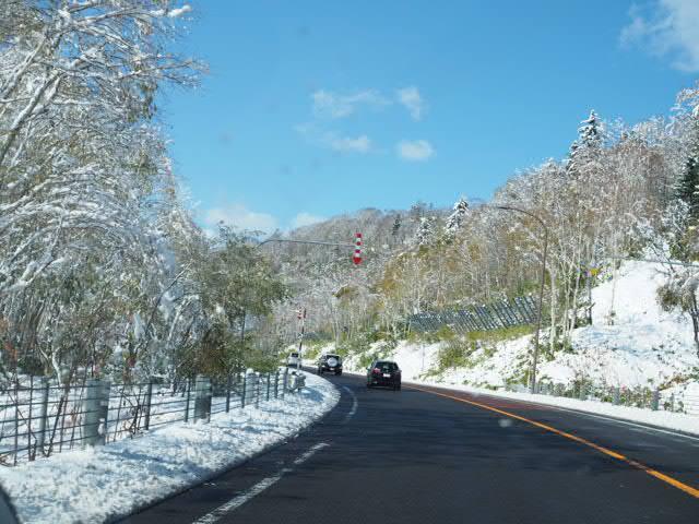 PA185792.JPG