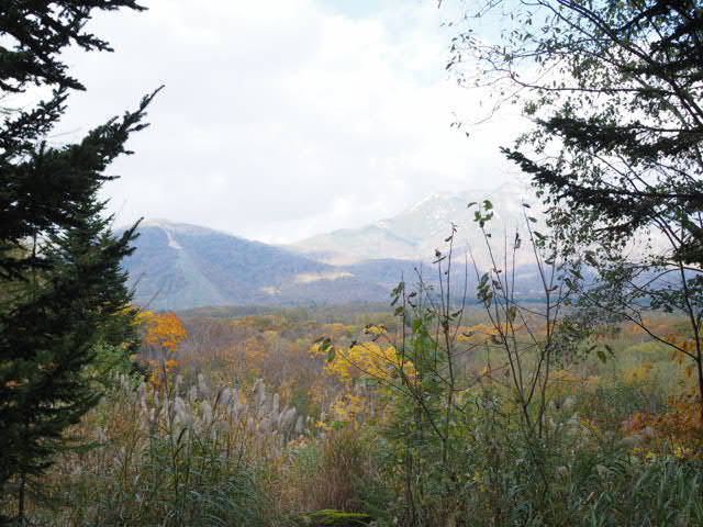PA185814.JPG