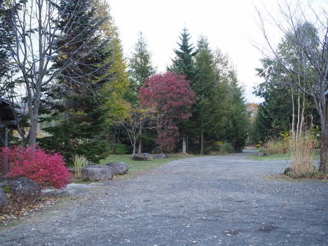 PA185829.JPG