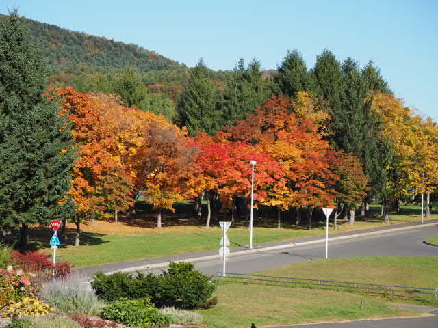 PA193055.JPG