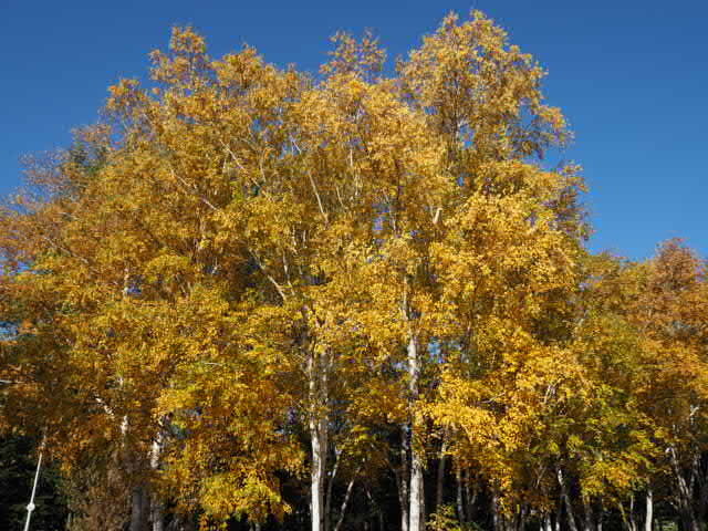 PA193056.JPG