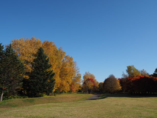 PA193074.JPG