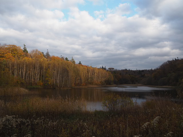 PA273158.JPG