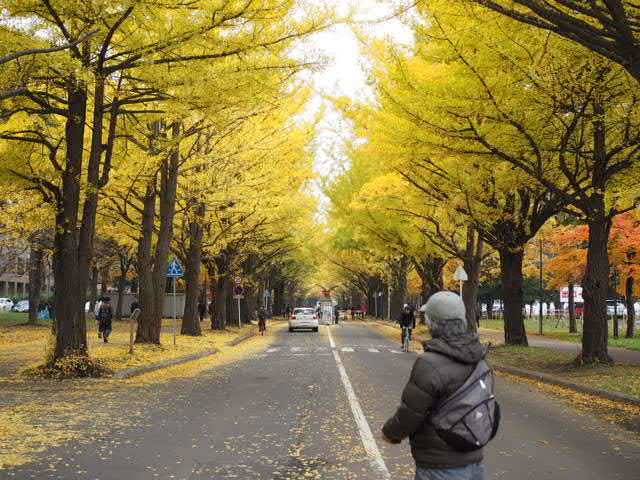 PB043190.JPG