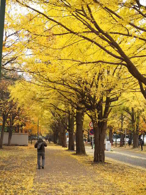 PB043198.JPG