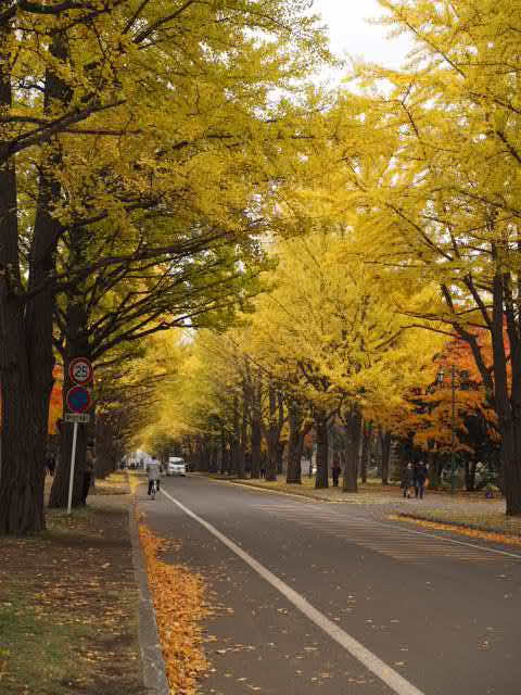 PB043206.JPG
