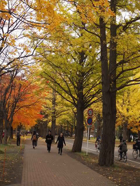PB043209.JPG